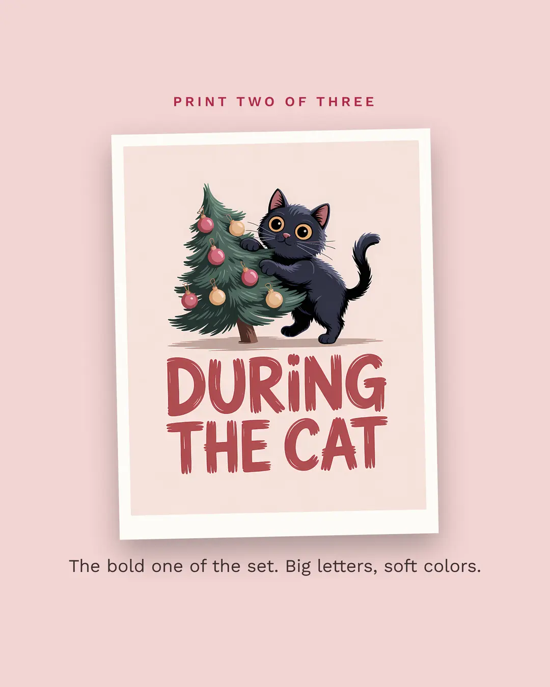 After the Cat